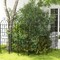 Costway 71" Tall Metal Garden Trellis for Climbing Plants 2/4 Pack Fence Panels Retro